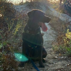 Meet your Posher, Emma